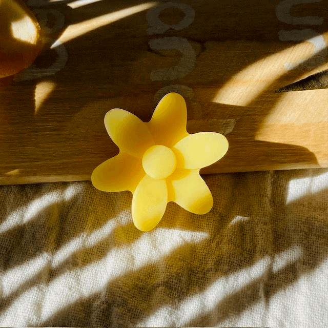 Fondant Vanille (à l&#039;unité) 